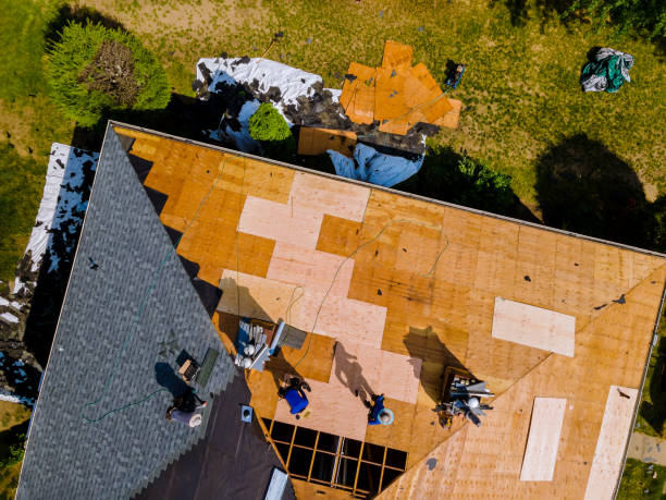 Best Roof Maintenance Services  in Marion, MT